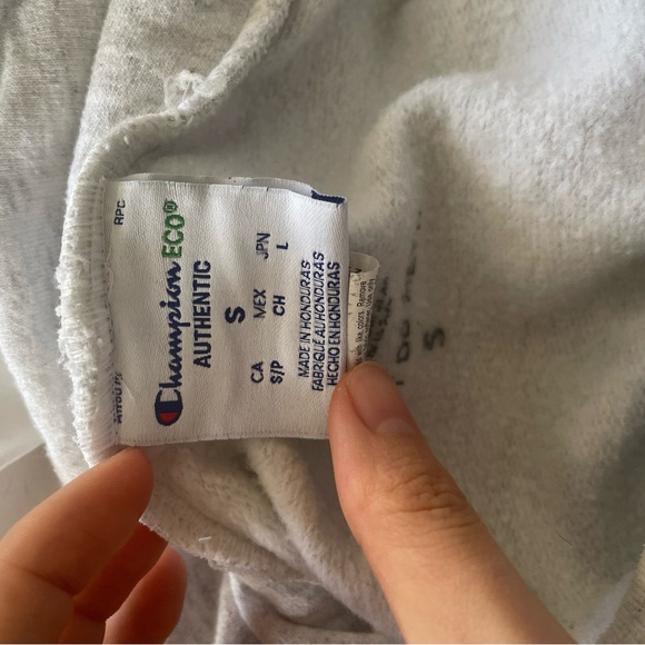 Erewhon Hoodie (Champion x Pizzaslime) ~ Ash Grey - Picture 4 of 4